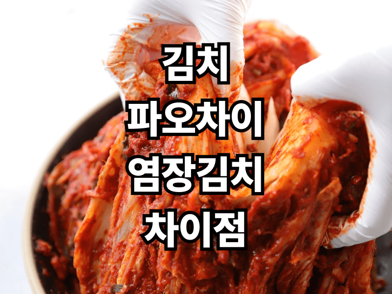 김치 vs 파오차이 vs 염장채소 차이점 완벽 비교! (왜 이렇게 다를까?)
