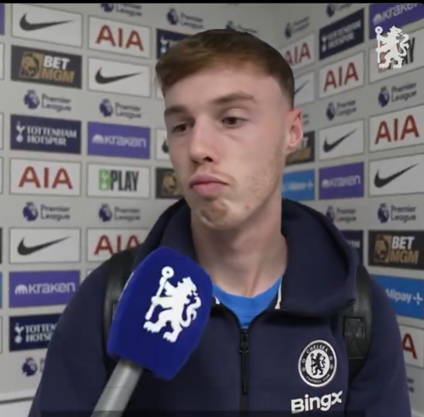 ์ฒผ์์ ํ๋จธ