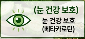 여주 효능