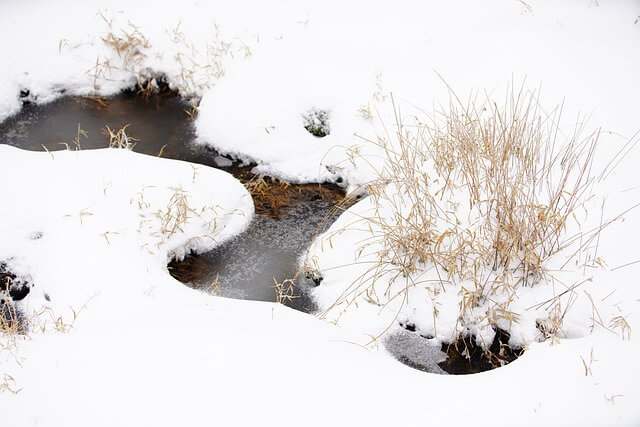 한라산 탐방예약
