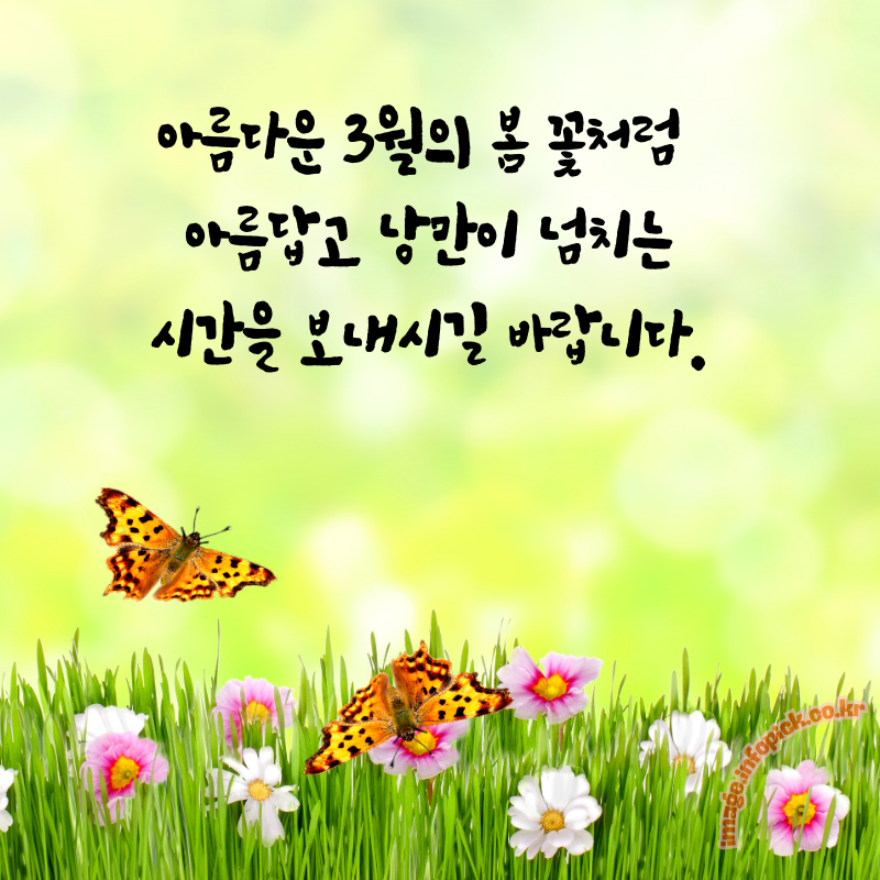 3월 인사말 문구 이미지 모음집3월 인사말 문구 이미지 모음집