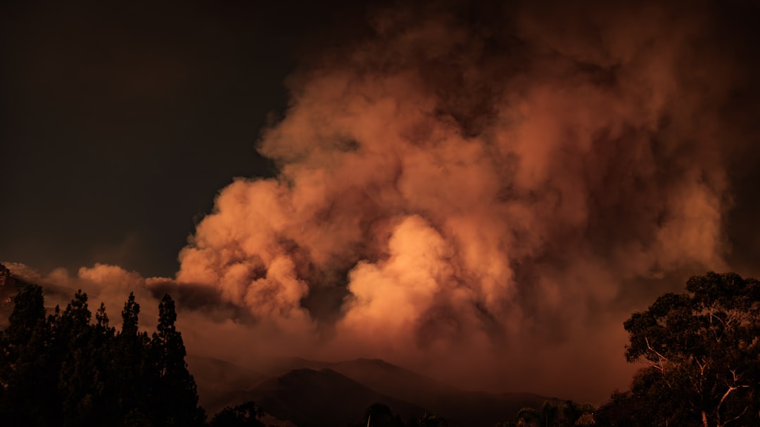 Wildfire