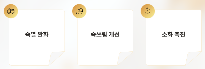 헛개나무 위장개선