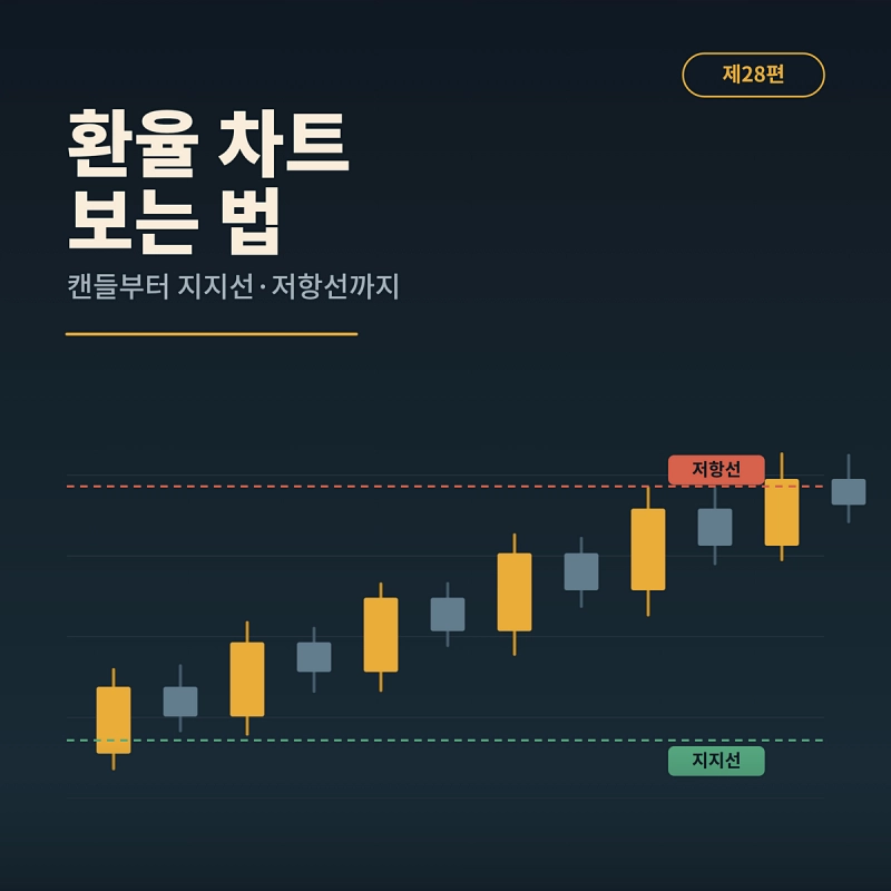 환율 차트 보는 법