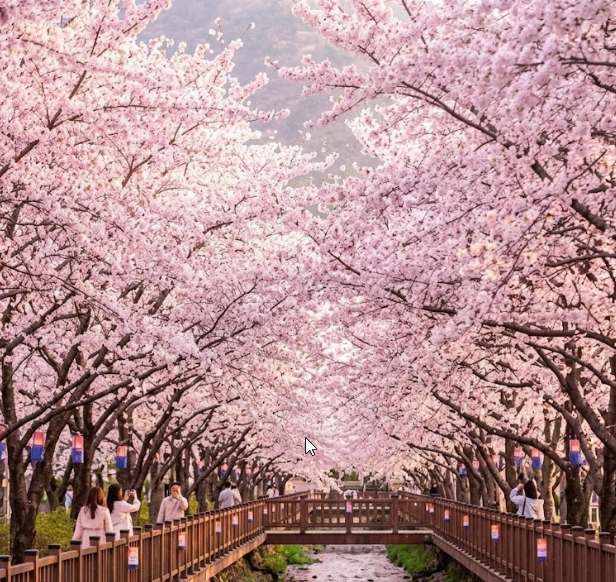 화사한 벚꽃길 배경 이미지