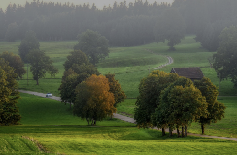 가을비, 조용히 스며드는 풍경 – 비 오는 날 더 깊어지는 국내 여행지 3선