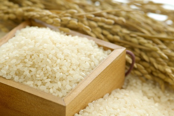 다이어트 식단 탄수화물 사이클