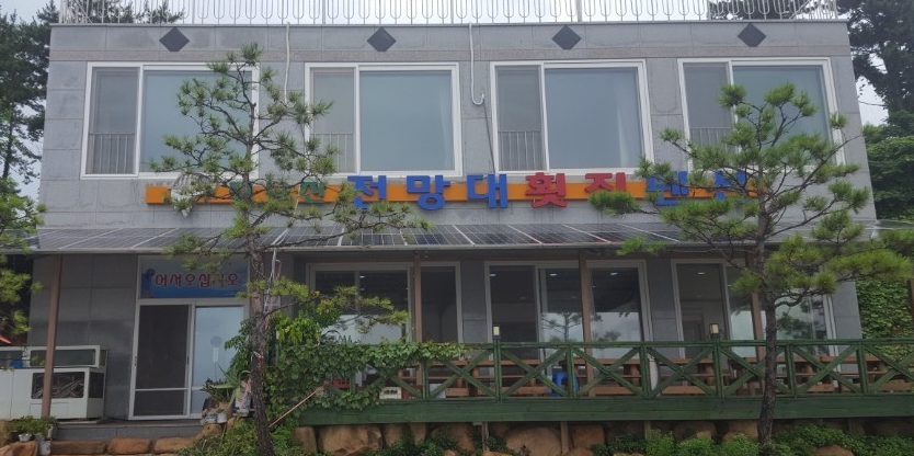 [6시 내고향] 장흥 갑오징어 횟집 택배 주문 구매 정보 