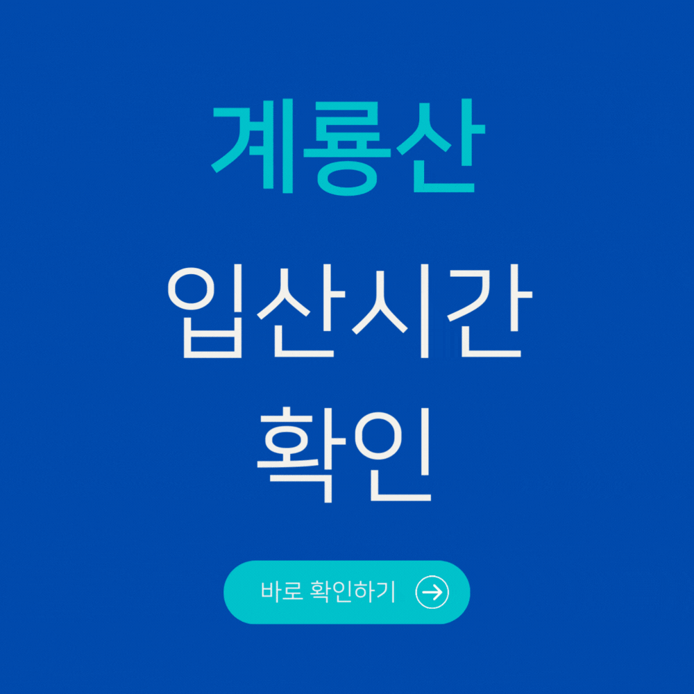 계룡산 입산시간 확인