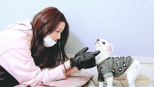 장원영 고화질 사진 모음 장원영 고화질 사진 모음