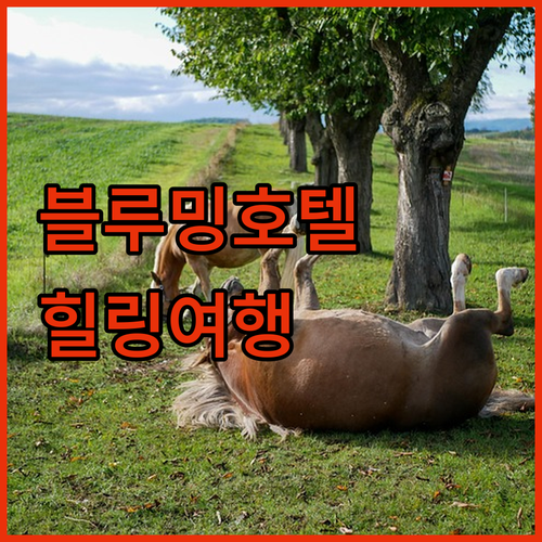베르겐 숙소 추천 블루밍 호텔! 국립..