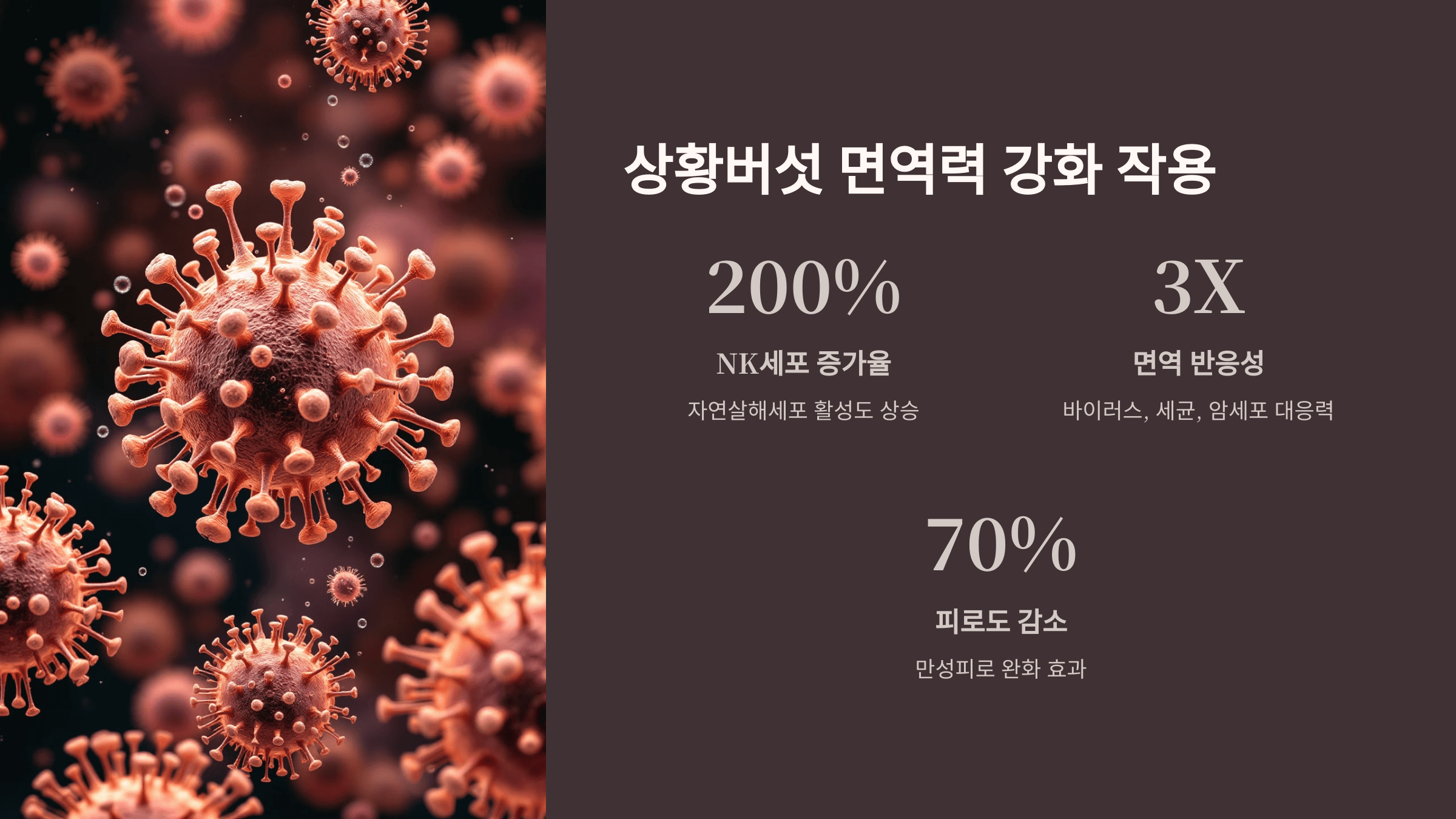 상황버섯 사진입니다.