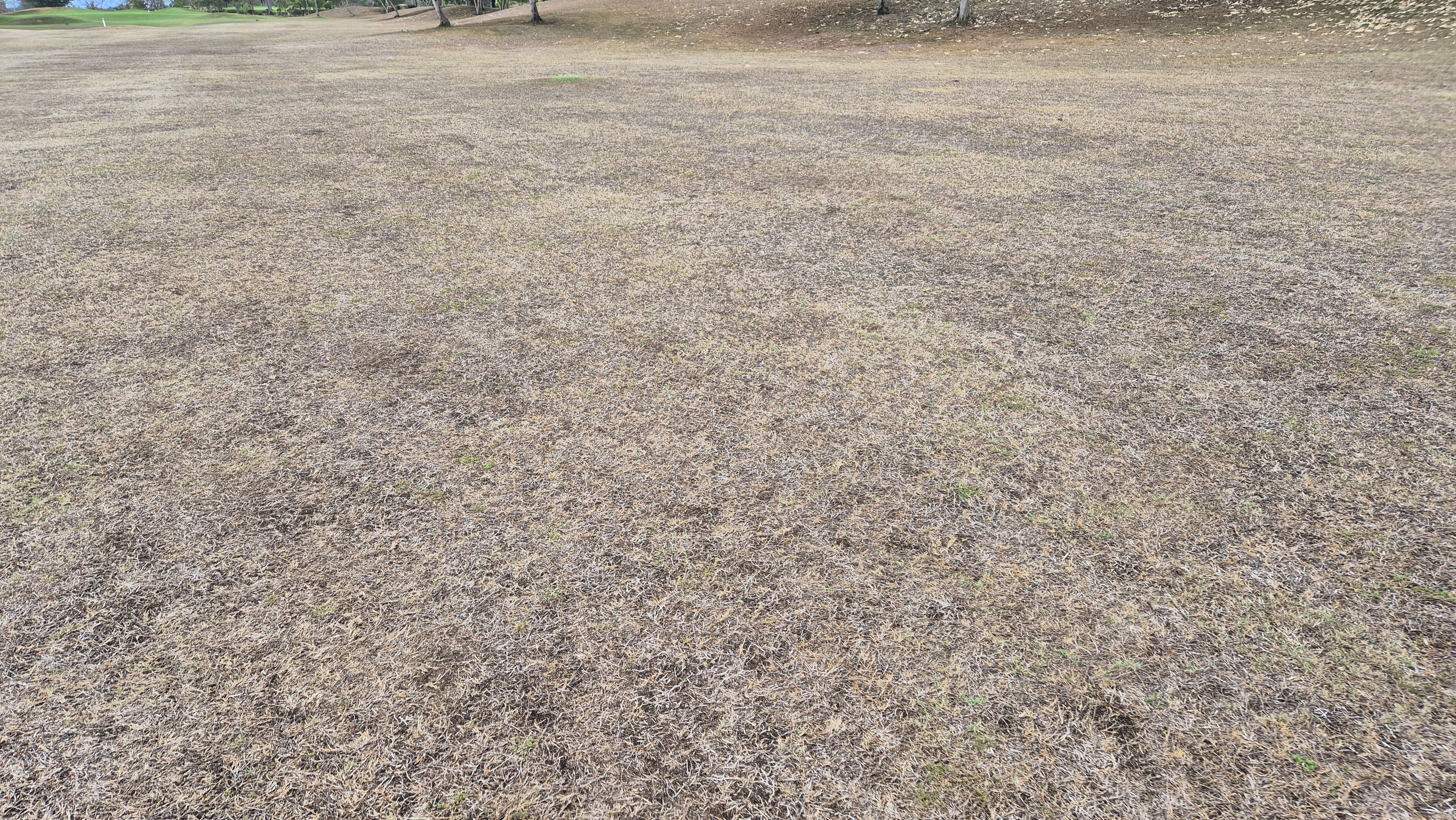 코랄오션cc 골프 라운드