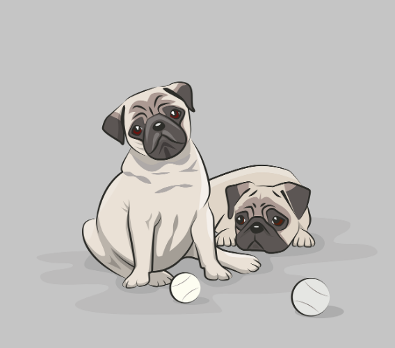 강아지 흉곽을 두 번 치는 듯한 호흡