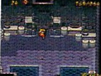 블랙 오팔 발견