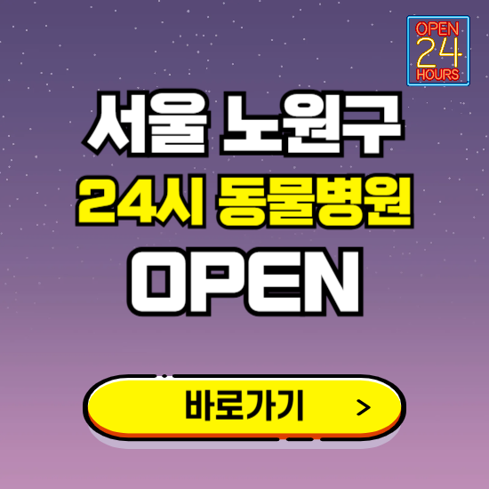 서울 노원구 24시 동물병원 진료하는 곳 ❘ 설날 휴일 야간 심야 문여는곳 찾기 ❘ 응급진료
