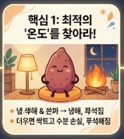 고구마 보관하는법