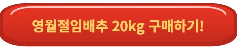 김장김치 절임배추