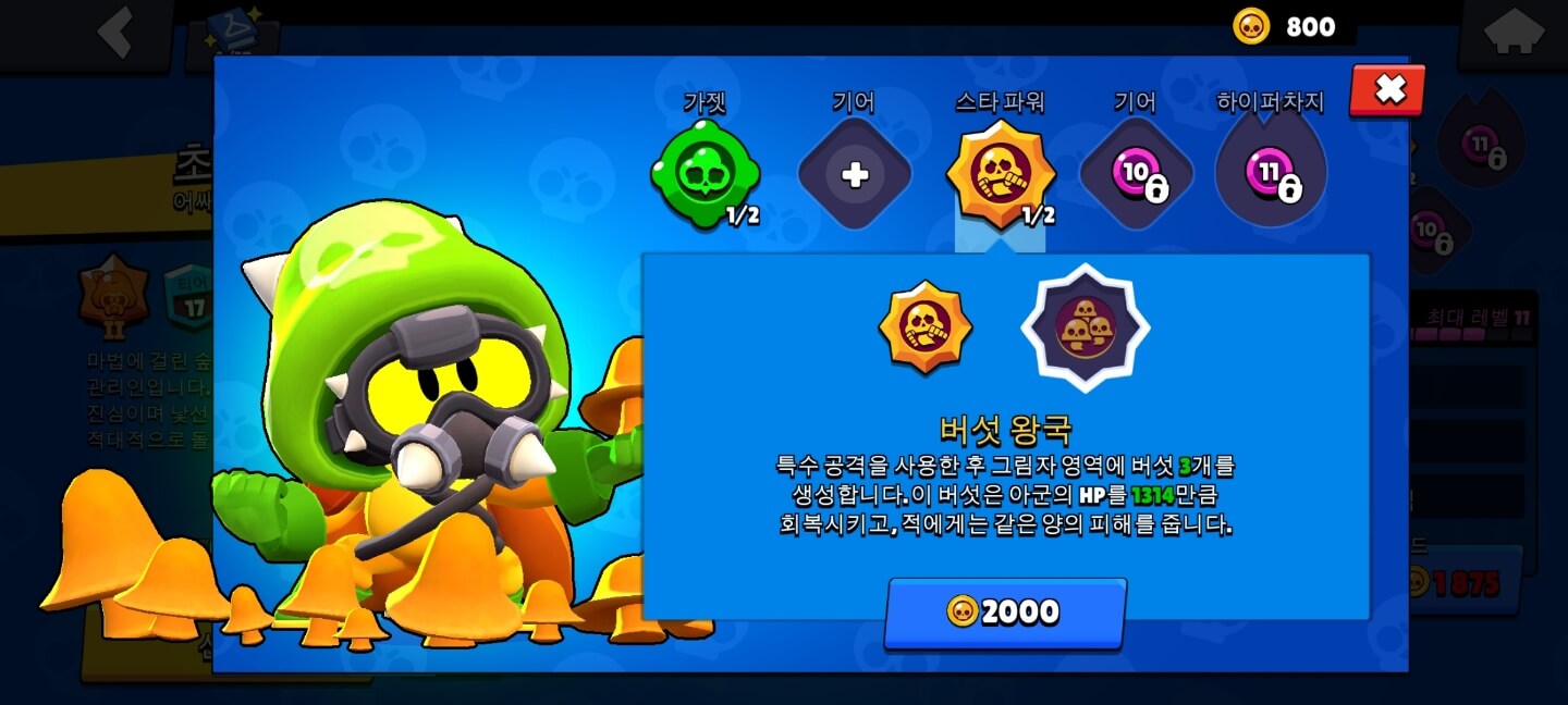 버섯왕국 (MUSHROOM KINGDOM)
