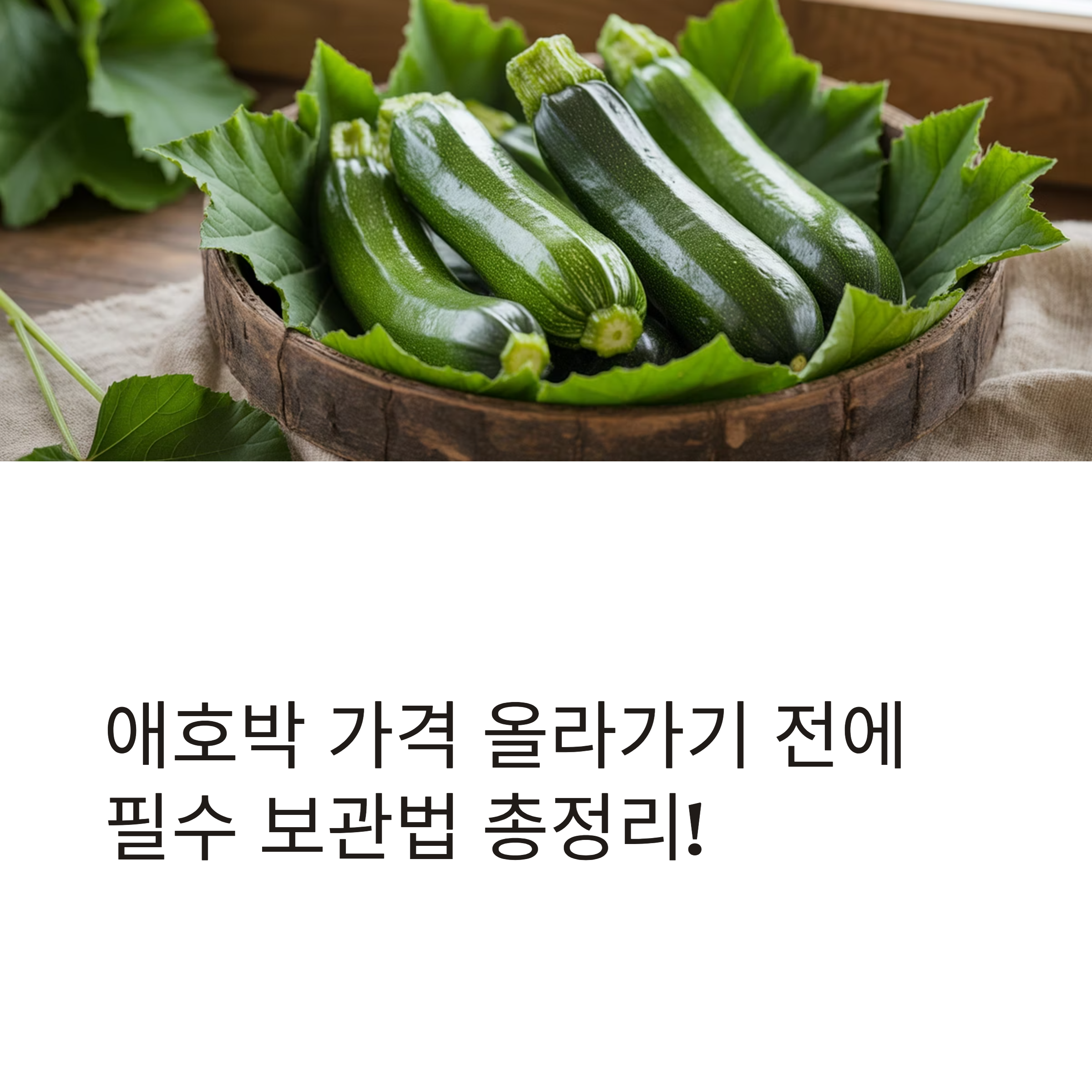 애호박 보관법! 비싸지기 전에 알아두세요