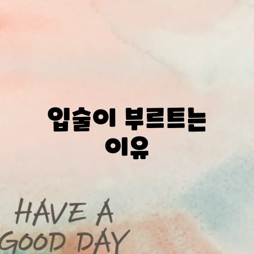 입술이 부르트는 이유