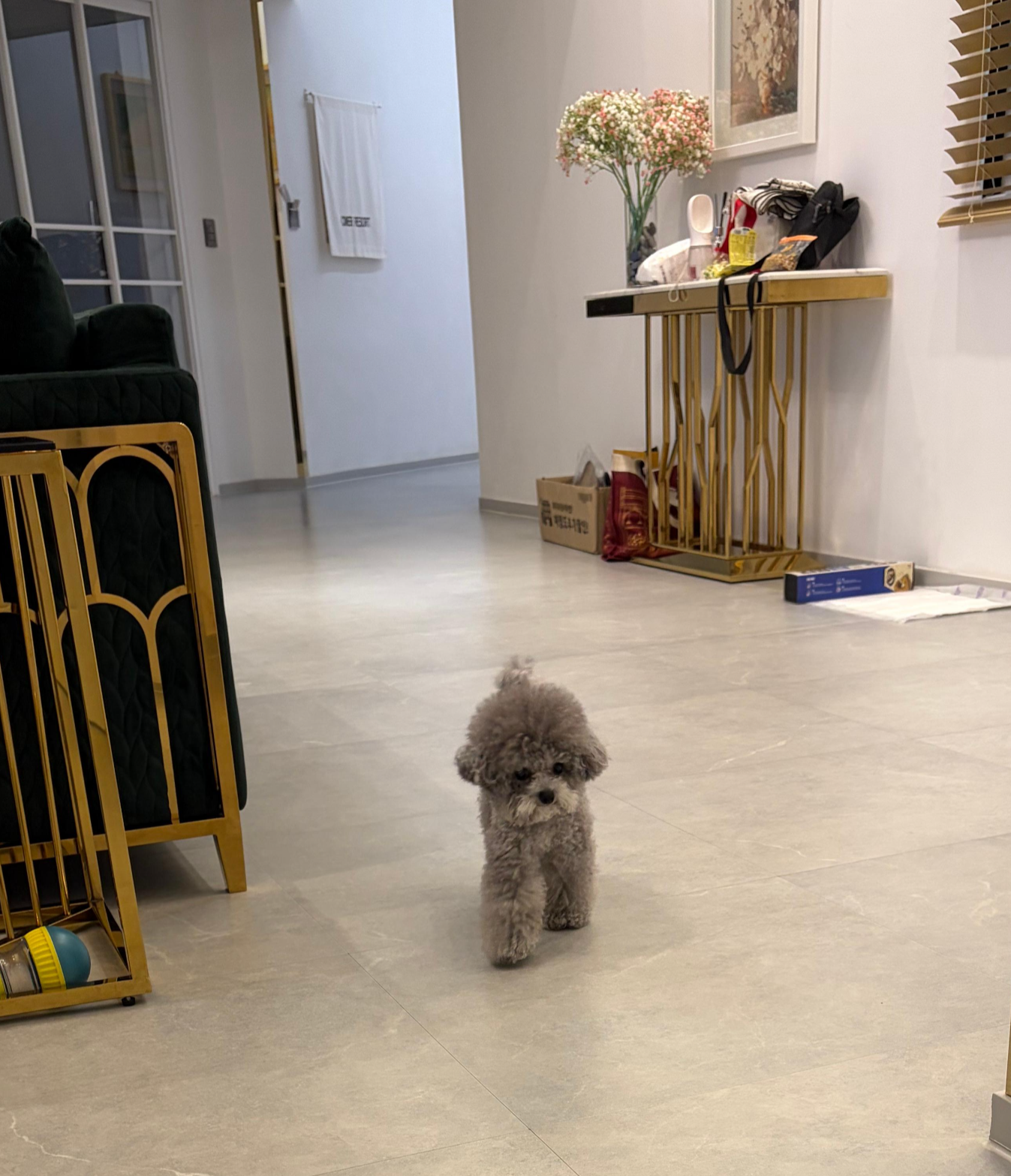 스테이유 풀빌라 401호 바닥 밑 장식 근접