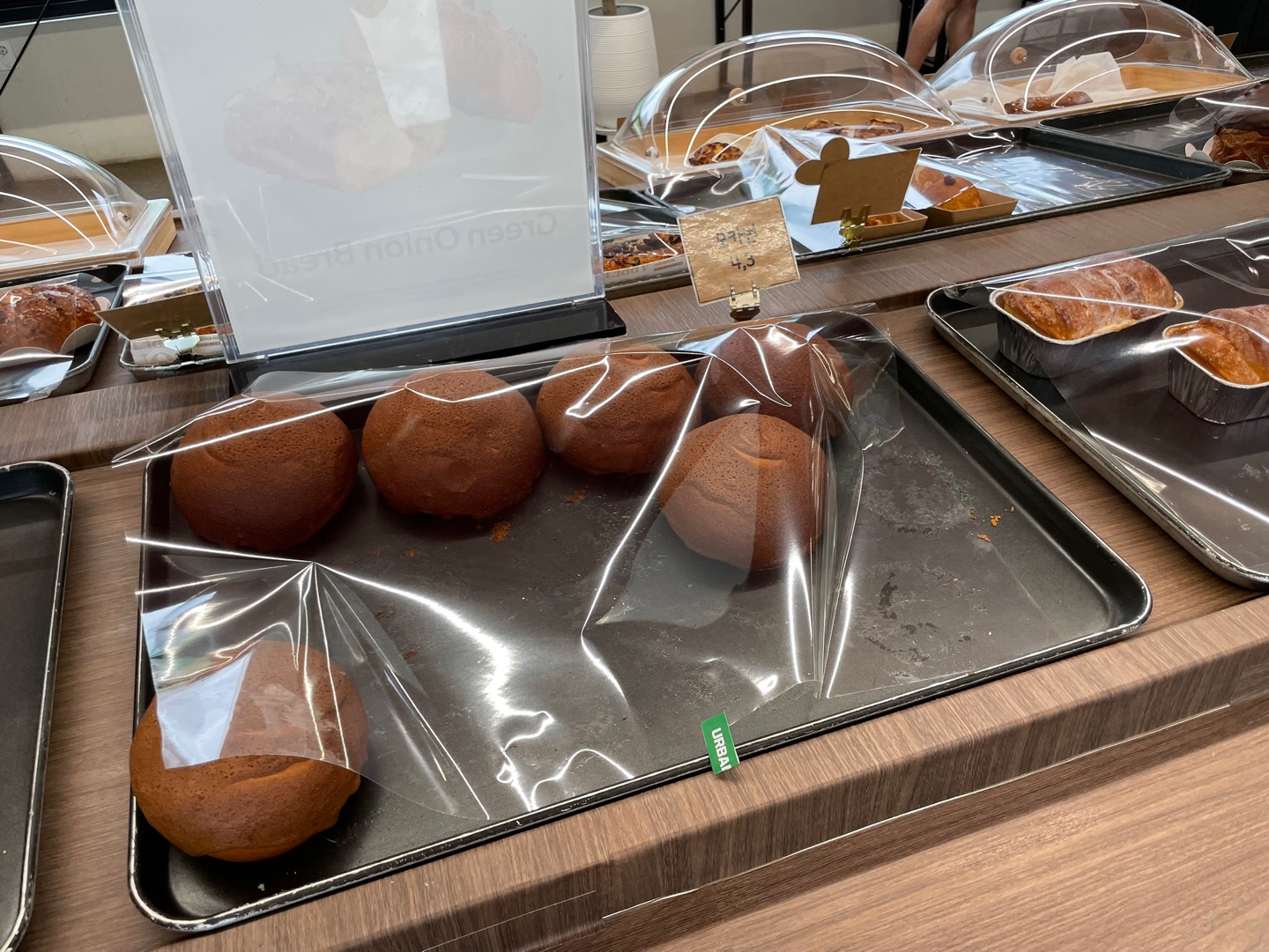 용인 식물원 베이커리 카페 어반리프