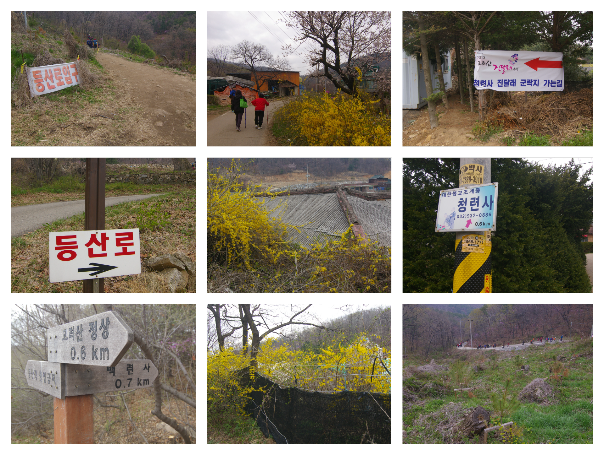 봄 고려산