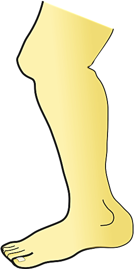 무릎통증원인-이미지