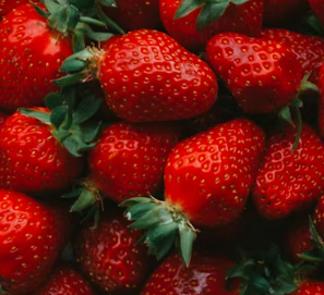 췌장염에 좋은 음식 영양제 식단