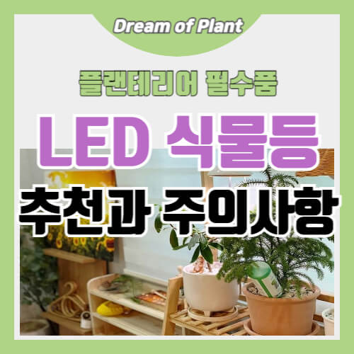 LED 식물등 추천과 주의사항 썸네일 이미지