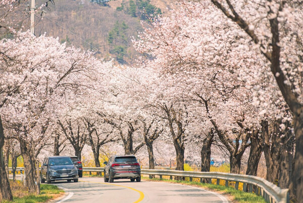 청양군-칠갑산-둘레길