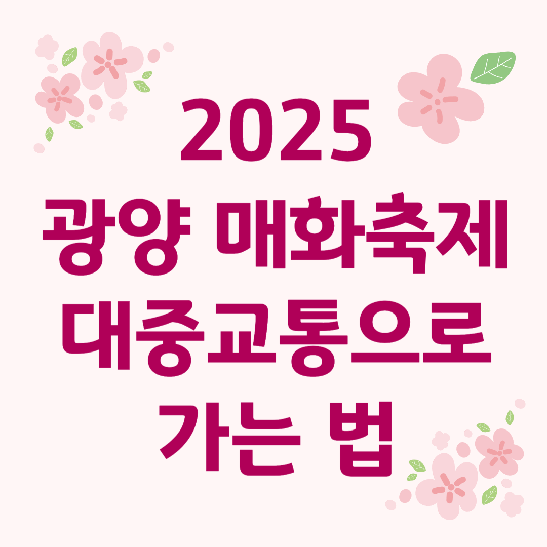 2025 광양 매화축제 대중교통으로 가는 법