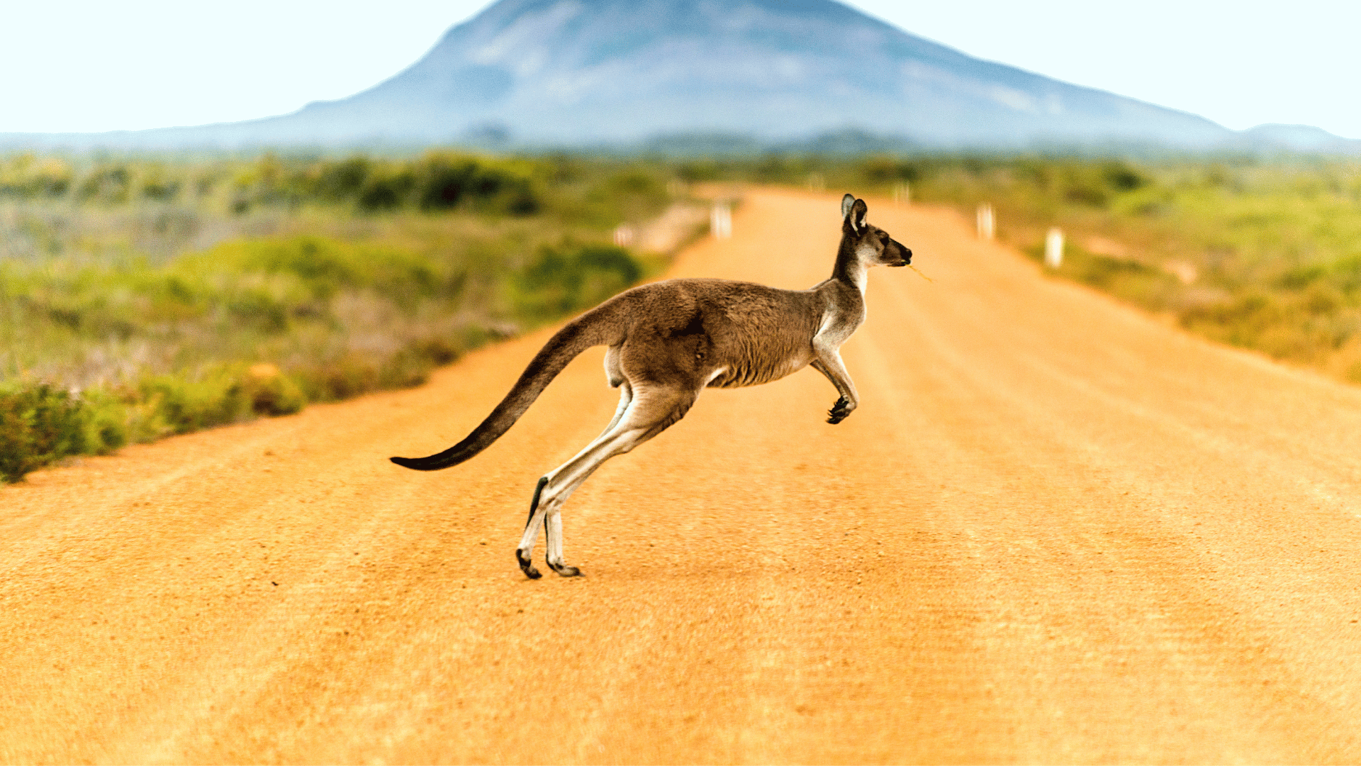 나라별 공항에서 꼭 알아야 할 꿀팁