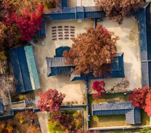 창덕궁후원 단풍