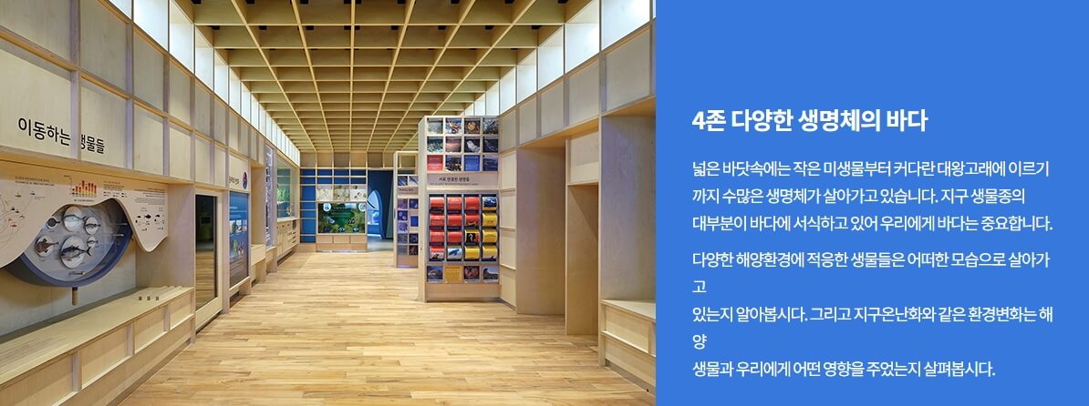 4존