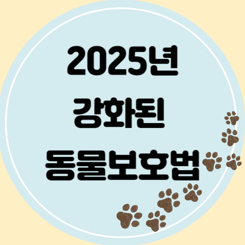 2025년, 강화된 반려동물 보호법 완벽정리