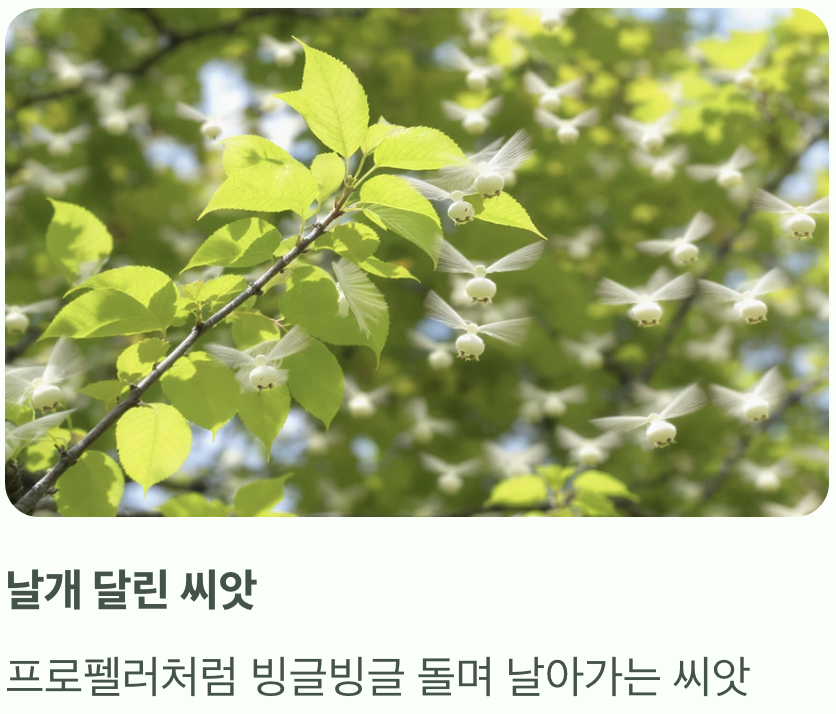 가을, 순수한 황금빛으로 물들다