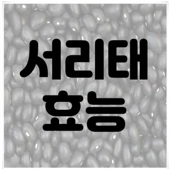 서리태 효능 콩물 만드는방법 수확시기 서리태콩 정보_12