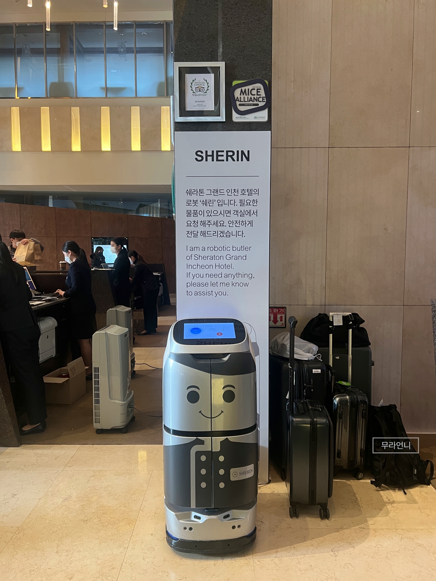 쉐라톤호텔 로봇 쉐린