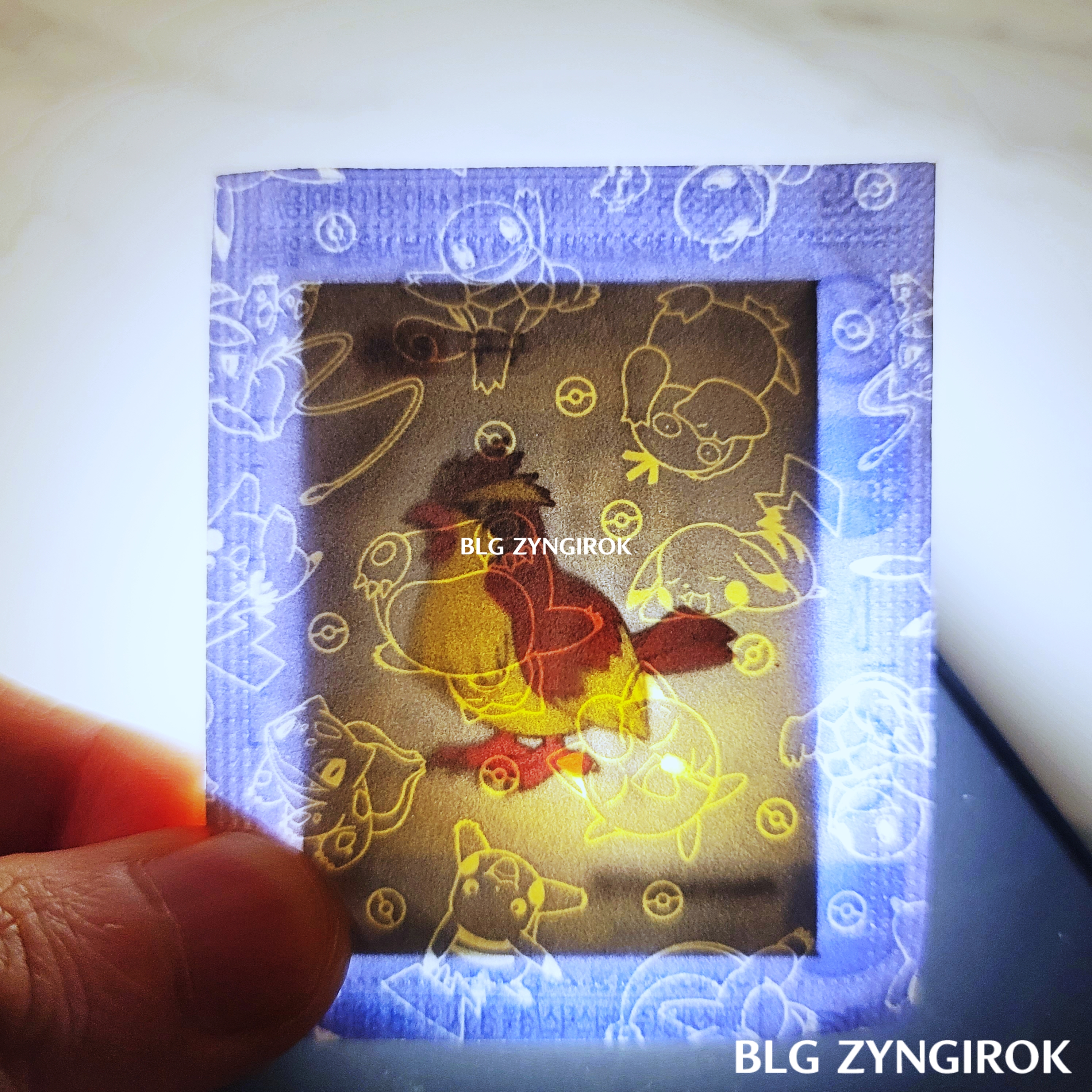 띠부띠부씰-구구를-들고있다.