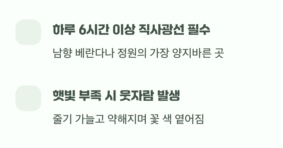 최고의 영양제, 뜨거운 태양