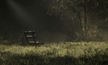 국민은행 정기예금 금리 지금 가입? 7