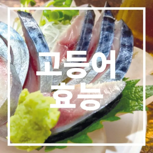 고등어 효능