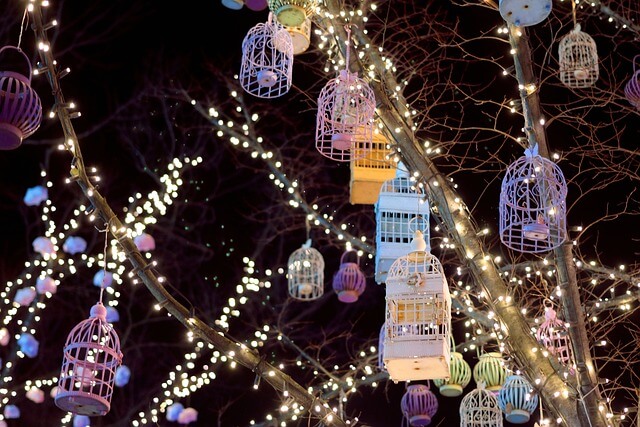 프로방스 빛축제 사진