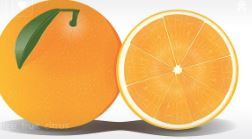 모로 실 모로 오렌지 효능 부작용