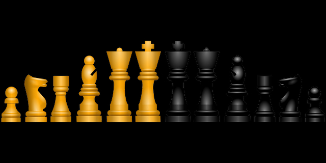 파일보고 홈페이지