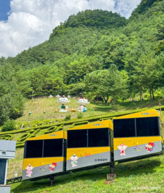 정선