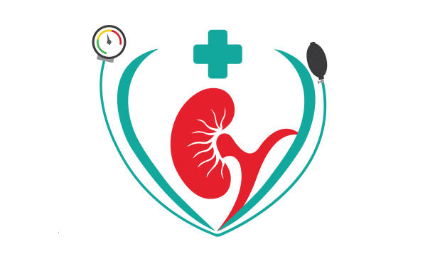 신장 고혈압 콩팥 안 좋으면 관리 이상 증사 검사 투석 이식 기능 이 위치 수치 혈압 CKD 만성 질환 네프론 미세 혈관 호르몬 신부전