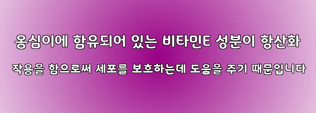  옹심이에 함유되어 있는 비타민E 성분이 항산화 작용을 함으로써 세포를 보호하는데 도움을 주기 때문입니다